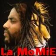 La MoMiE