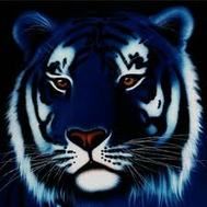 blutiger