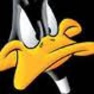 daffy