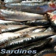 lasardine76