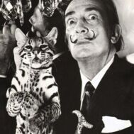 FC Bigotes 2025-2026