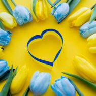 Kissa Koissa ?? France 2025-2026 !!